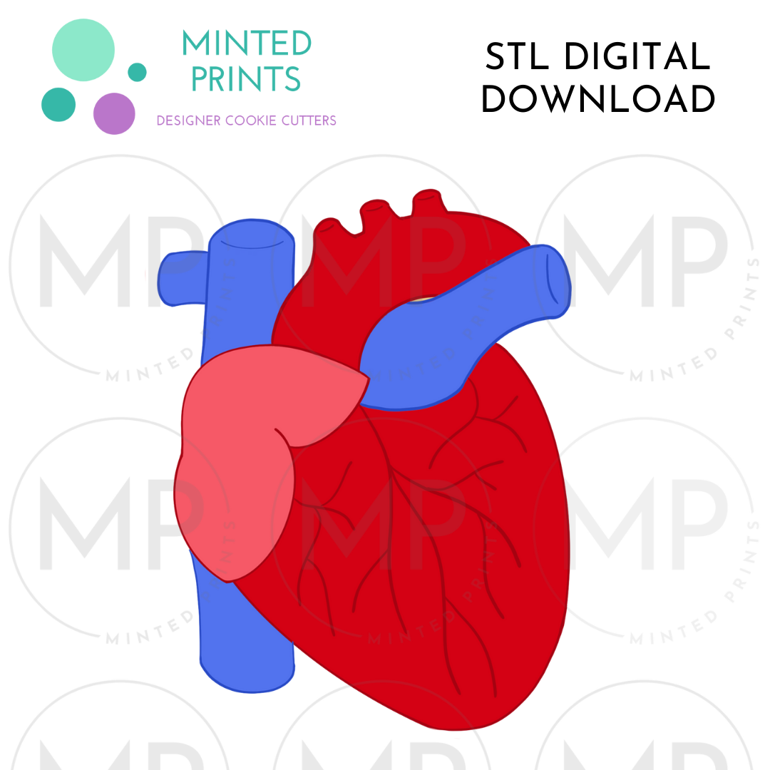 Anatomical Heart Cookie Cutter STL DIGITAL DOWNLOAD