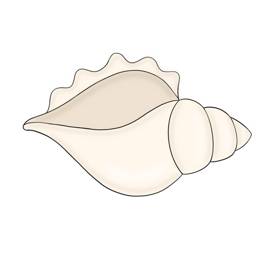Conch Shell Cookie Cutter & STLs