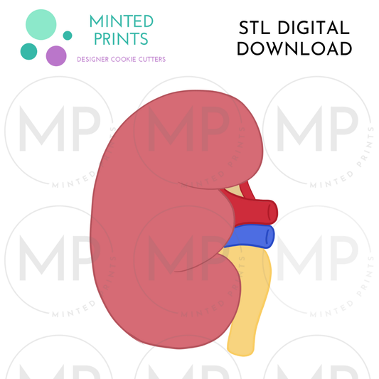 Kidney Cookie Cutter STL DIGITAL DOWNLOAD