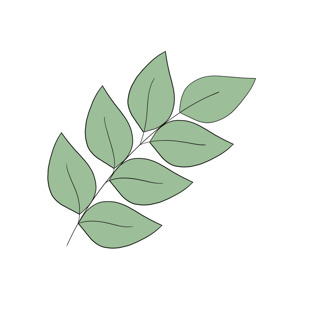 Leaf Sprig
